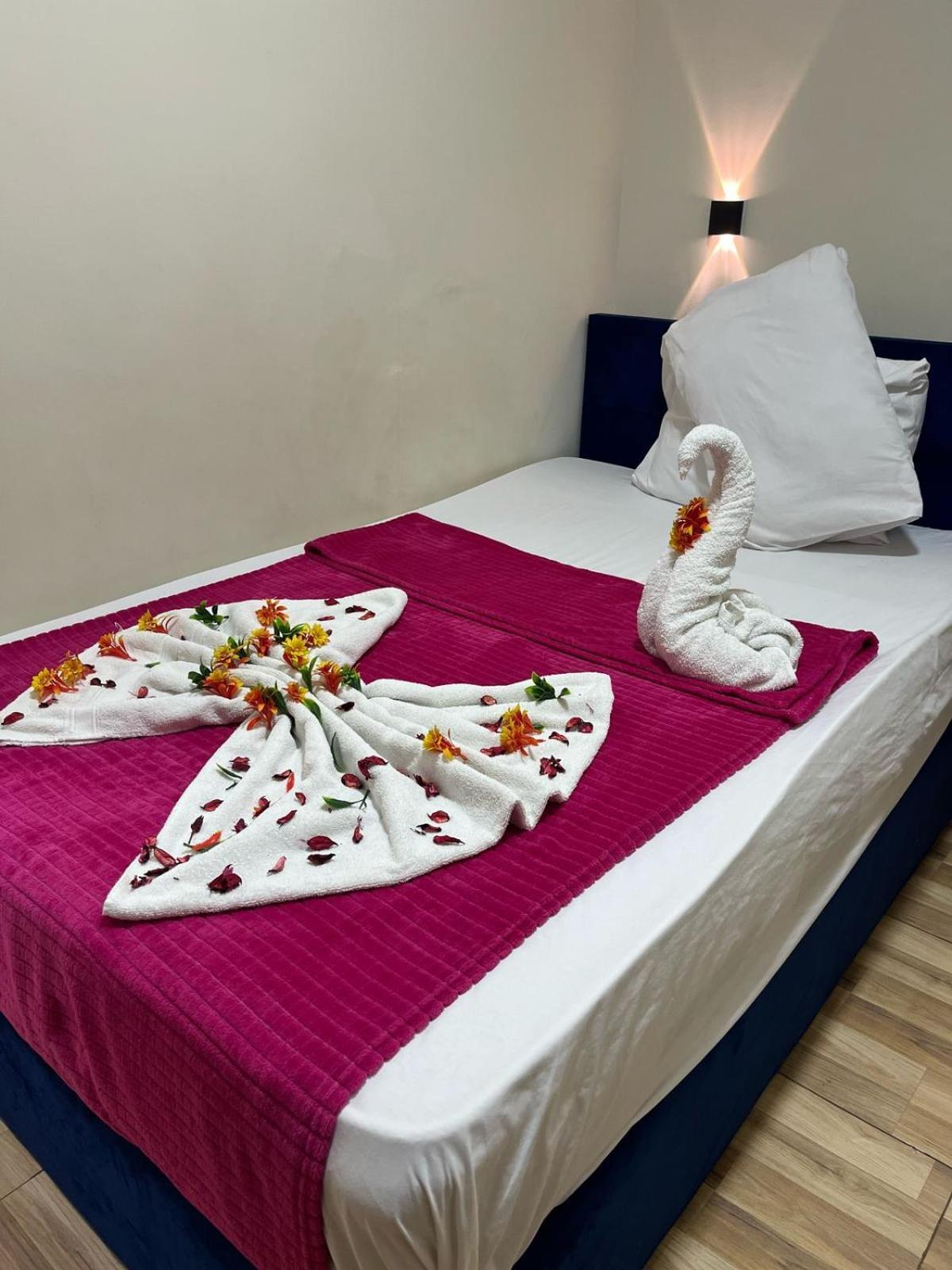 Downtown Hotel 3*