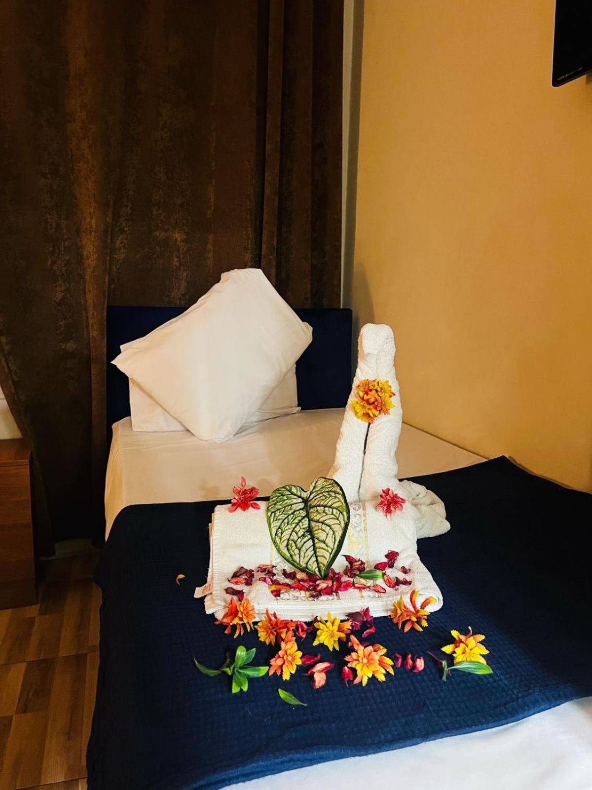 Downtown Hotel 3*